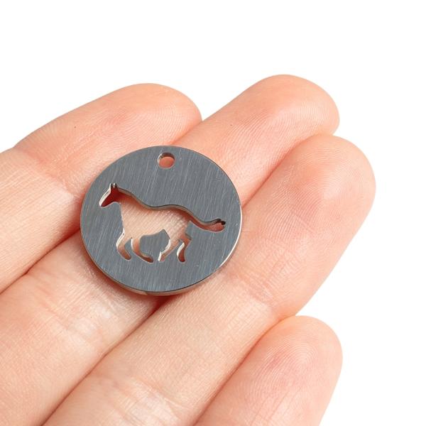 10612-placka-privesok-s-konom-21mm-nerez-2