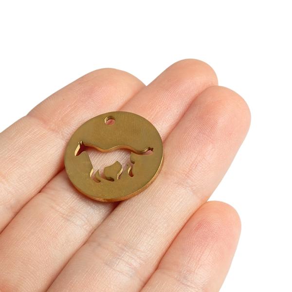 10613-placka-privesok-s-konom-zlaty-21mm-nerez-2