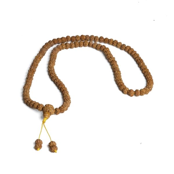 Rudraksha kor�lky 8-9mm �n�ra