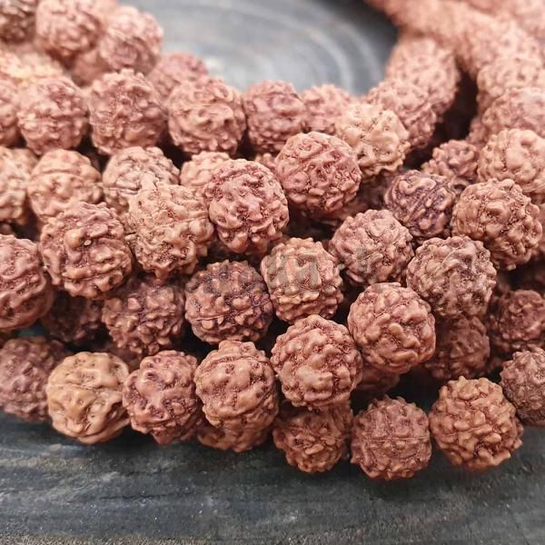 Rudraksha korlky 8-9mm nra