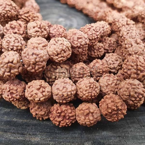 Rudraksha korlky 9-10mm nra