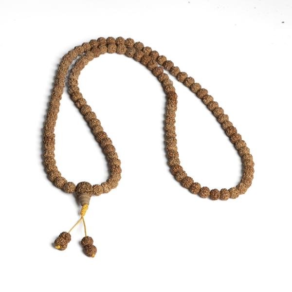 Rudraksha kor�lky 8-9mm ploch� �n�ra