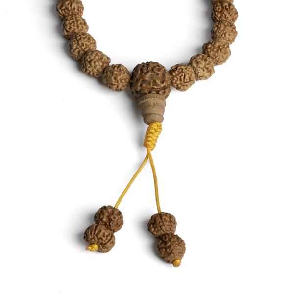 1523-rudraksha-koralky-8-9mm-ploche-snura-2