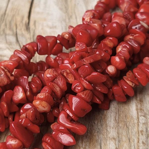 Koral �erven� kor�lky zlomky �n�ra