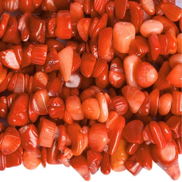 Koral �erven� kor�lky zlomky �n�ra