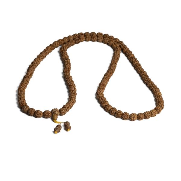 Rudraksha kor�lky 11-12mm �n�ra
