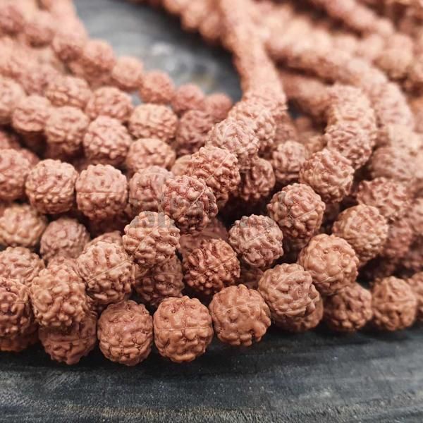 Rudraksha korlky 6-7mm nra