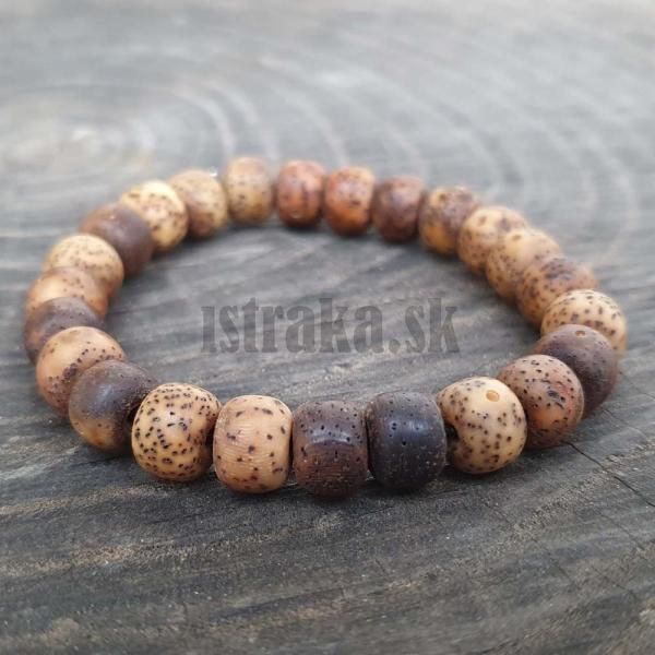 Lotosov semiaka hned 8x6mm nramok 