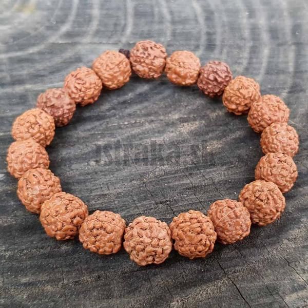 Rudraksha semiaka 9,5-10,5mm nramok